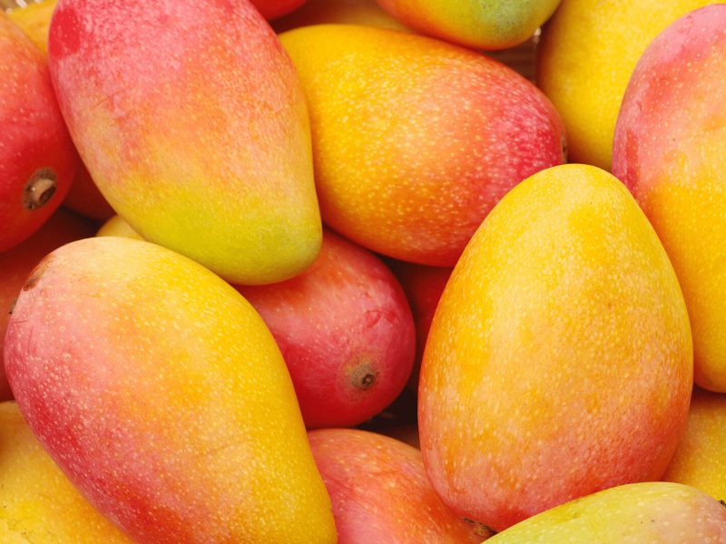 1384169-mango-wallpaper-1920x1080-for-1080p