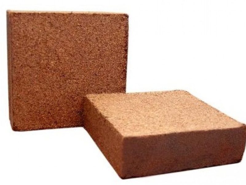 hindistan cevizi kabugu Cocopeat--1100x1100h